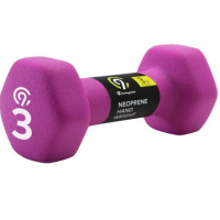 HAND WEIGHT 3LB PURPL