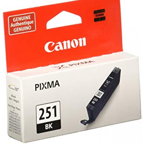 251 bk canon ink